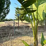 Ancient Pydna Paradise 度假居 马克罗吉亚罗斯