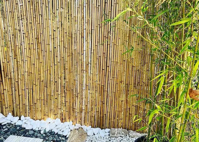 Ancient Pydna Paradise