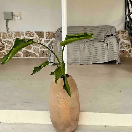 Ancient Pydna Paradise * Makrigialos