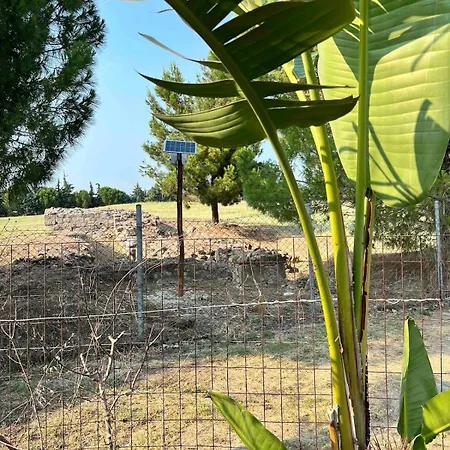 Ancient Pydna Paradise 度假居 马克罗吉亚罗斯