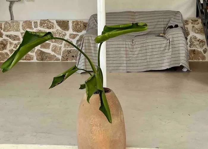 Ancient Pydna Paradise * Makrygialos